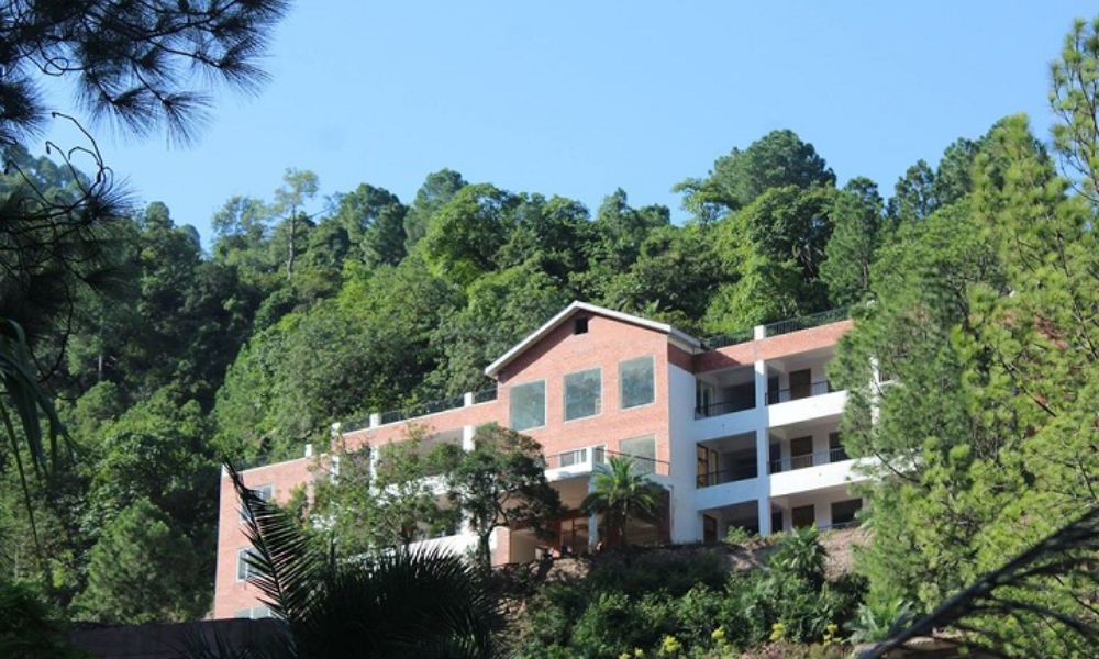 The Plenum School shimla