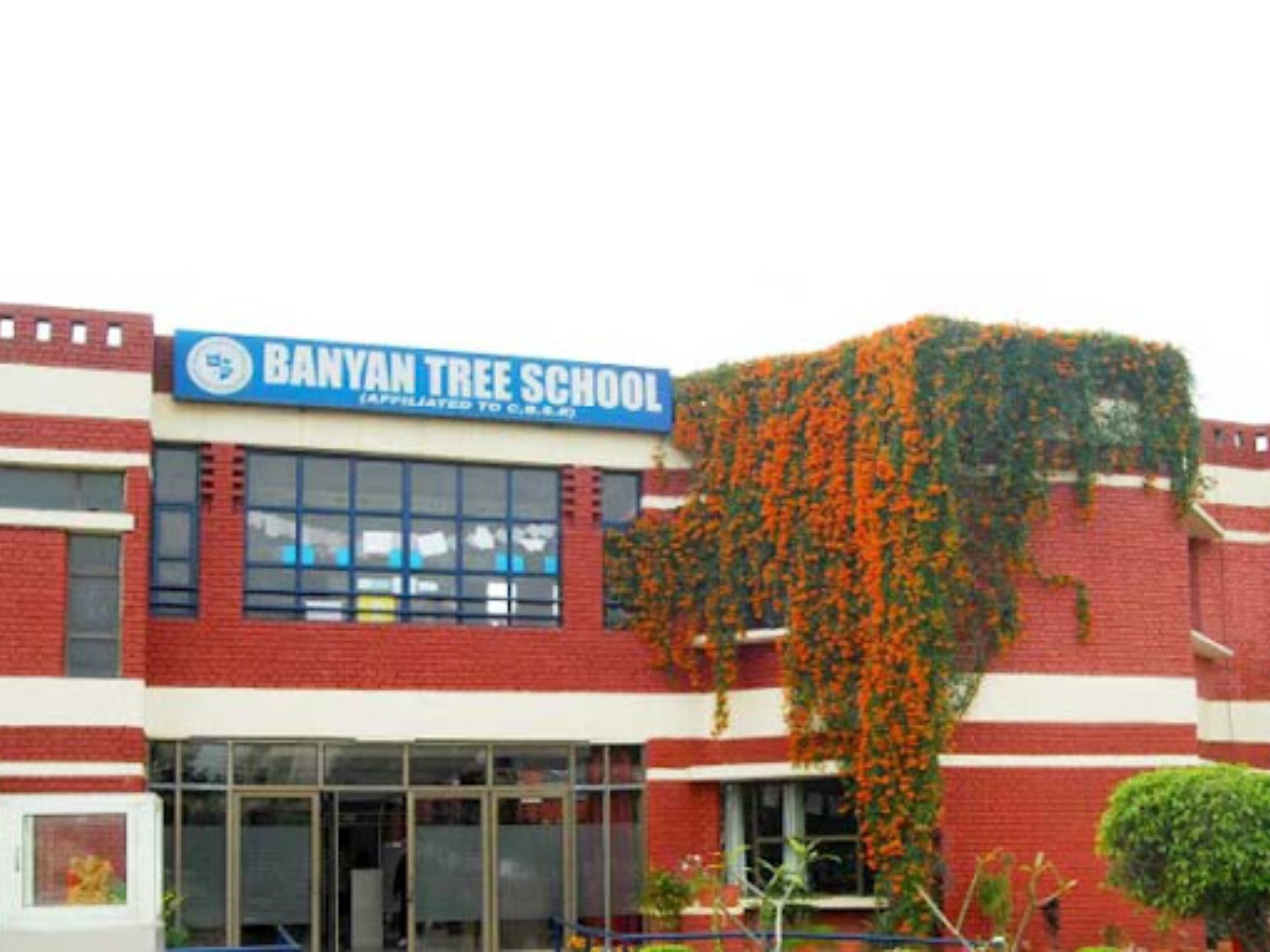 Banyan Tree School 