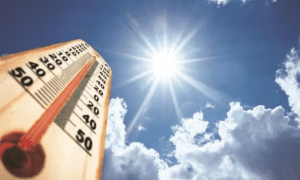 extreme heatwaves