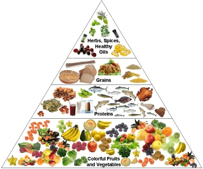 Understanding Calories