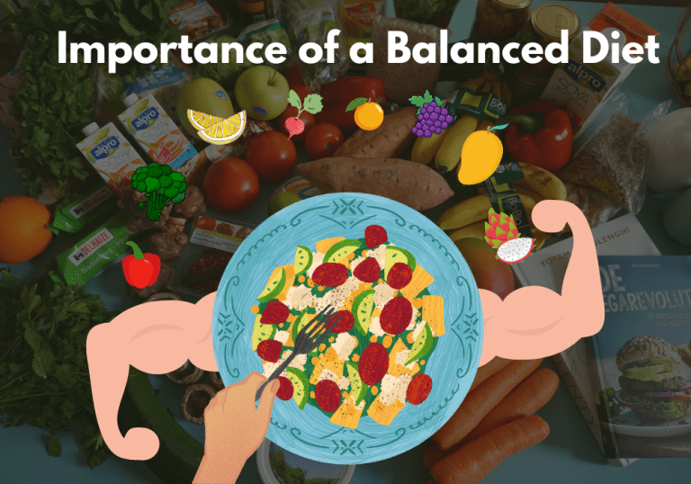 Importance of a Balanced Diet: Fueling Young Minds and Bodies
