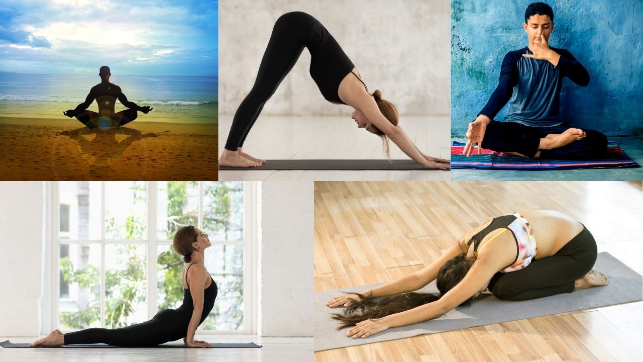 Key Yoga Practices for Students
