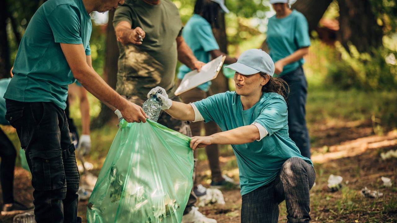 Understanding the Importance of the Environment