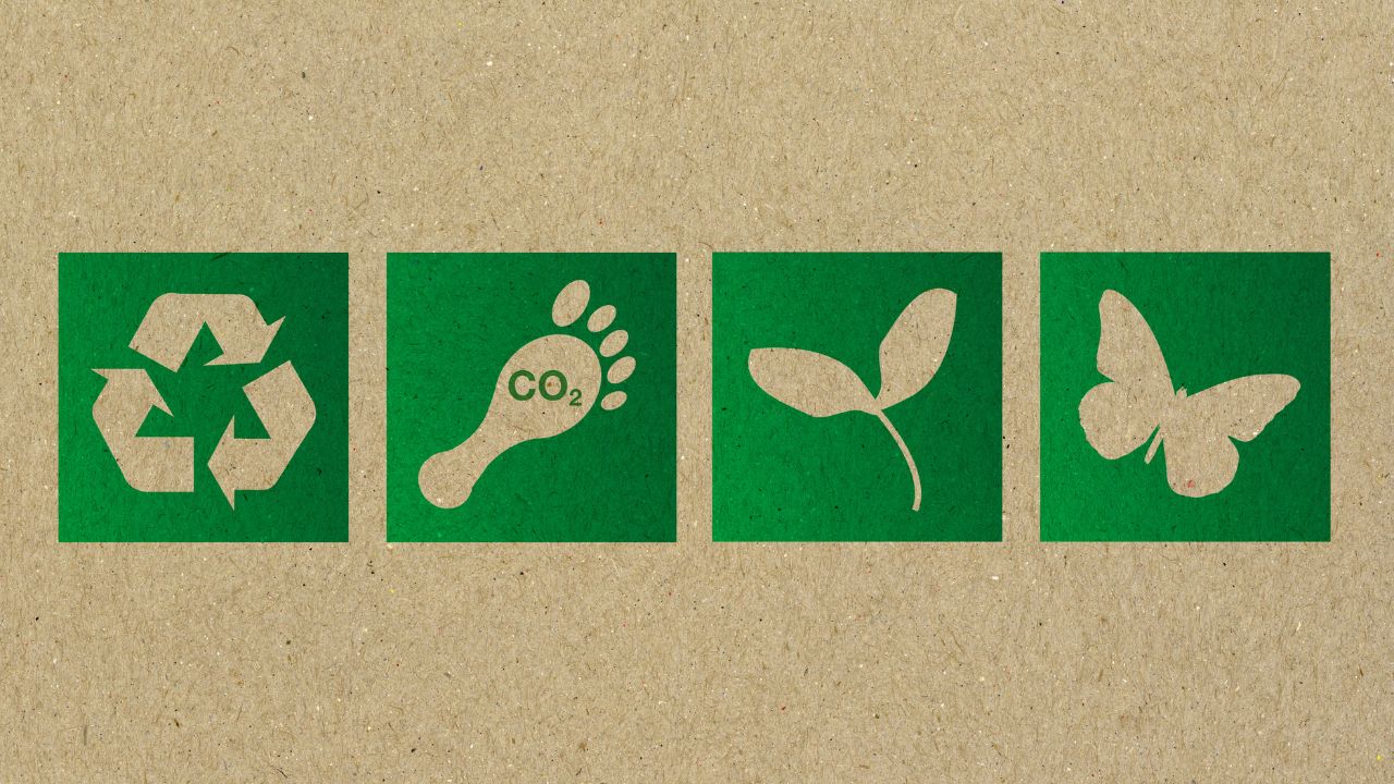  Why Parents and Students Should Embrace the Importance of Environment