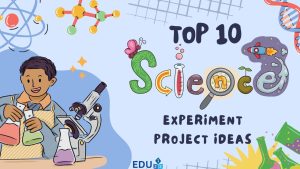 Top 10 Science Project Ideas for Students: Step-by-Step Guide
