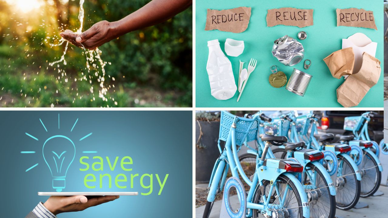Simple Steps Students Can Take for a Greener Future