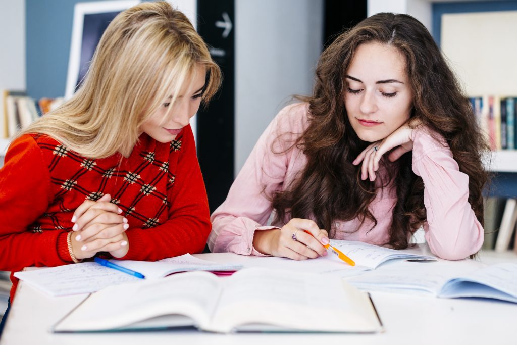 Study Sessions: Homework and Revision