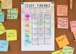 study timetable for home